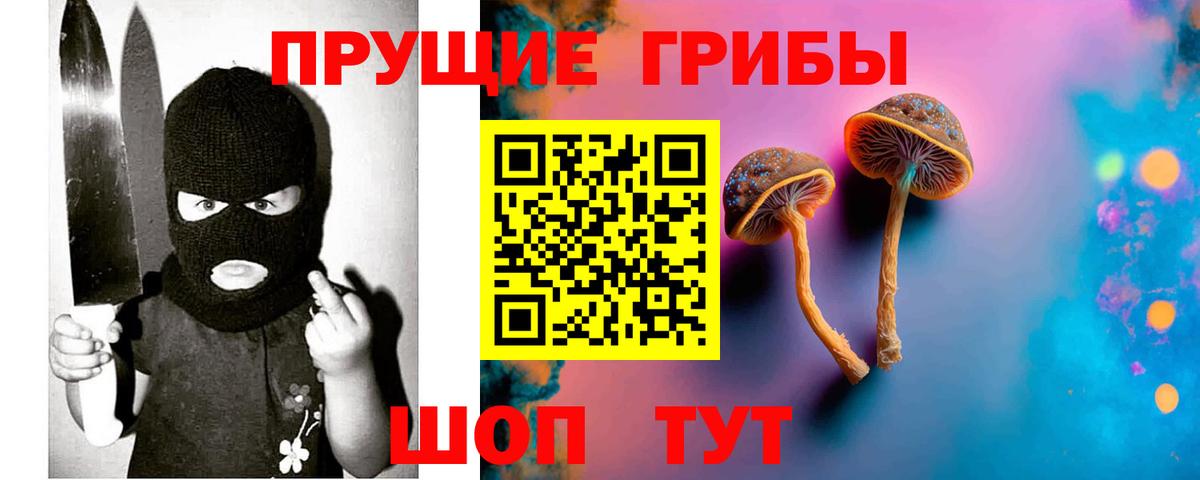 Ступино  Псилоцибиновые грибы прущие грибы  Галлюциногенные грибы ЛСД  Вход с VPN 